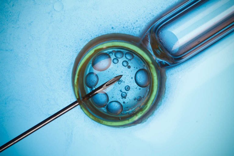 La reproducción asistida: la medicina del futuro que forma parte del presente.